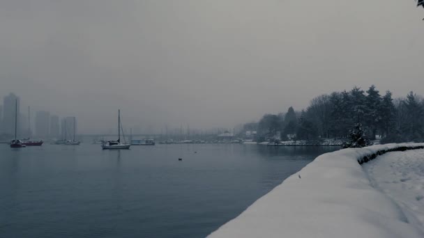 Vancouver Centrum Met Vallende Sneeuw Eenzaam Jacht Ochtend — Stockvideo