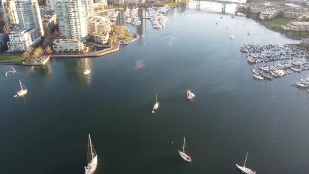 温哥华小河上停着游艇的自上而下的景象 — 图库视频影像