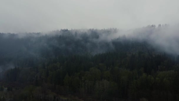 Drone Disparo Del Bosque Abetos Cubierto Con Las Nubes Columbia — Vídeo de stock