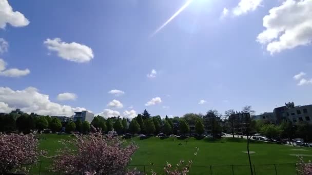 Nopeasti Liikkuvat Pilvet Timelapse Yli Vihreä Kenttä Vancouverissa Aurinkoisena Päivänä — kuvapankkivideo