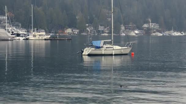 山と小さな都市の近くの雨の日にカナダの湾で停泊ボート — ストック動画