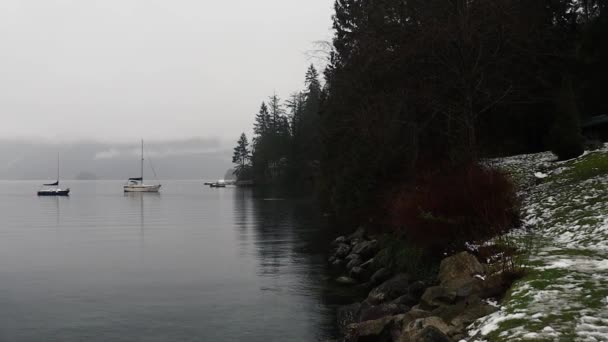 Rocky Coast Spruce Trees Two Lonely Anchored Yachts Rainy Morning — Stock Video