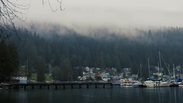加拿大码头多雨多云的早晨 被云杉林环绕 — 图库视频影像