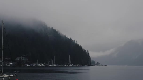 Pochmurny Dzień Zatoce Jachtami Leśnymi Wzgórzami Kanadzie — Wideo stockowe