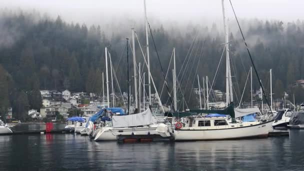 Vecchi Yacht Nel Porto Turistico Canadese Circondato Una Pineta Una — Video Stock