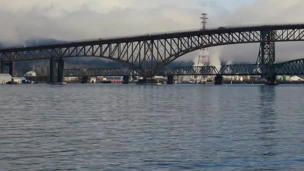 Gaivotas Nas Águas Vancouver Com Ponte Montanhas Fundo — Vídeo de Stock