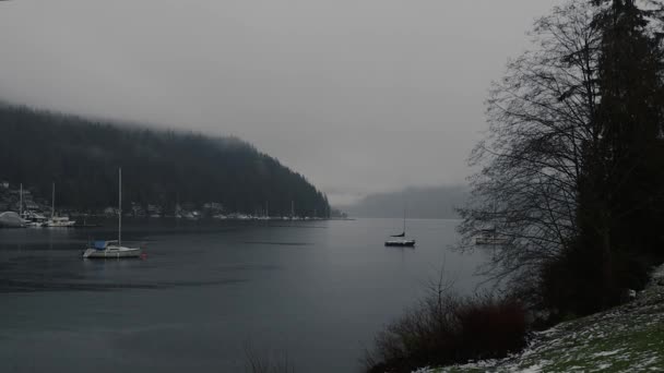 加拿大海湾在晨雾中停泊着帆船和森林 — 图库视频影像