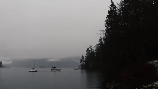 Bay Surrounded Mountains Spruce Forest Anchored Lonely Yachts — Stock Video