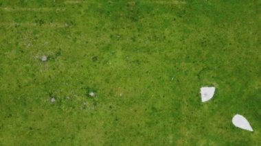 Güneşli bir günde, yukarıdan aşağıya yeşil çimlere zum yap.