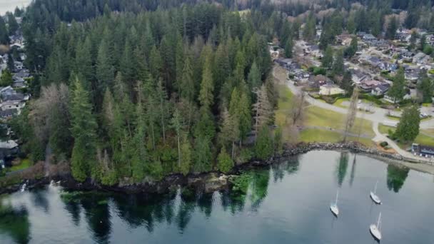 Top View Small Town Forest Bay Yachts — Stock Video