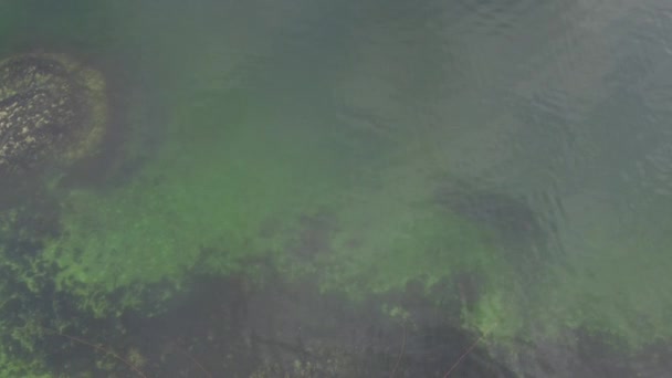 Oberseite Des Klaren Wassers Kanada Bei Ebbe — Stockvideo