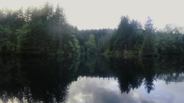 Akşam gölü zamanı, arka planda sisli bir orman var.