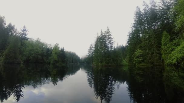 Timelapse Της Λίμνης Στην Πρωινή Ομίχλη Δάσος Γύρω — Αρχείο Βίντεο