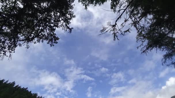 Hızla Hareket Eden Bulutların Ormanın Altından Yükselen Mavi Gökyüzünün Görüntüsü — Stok video
