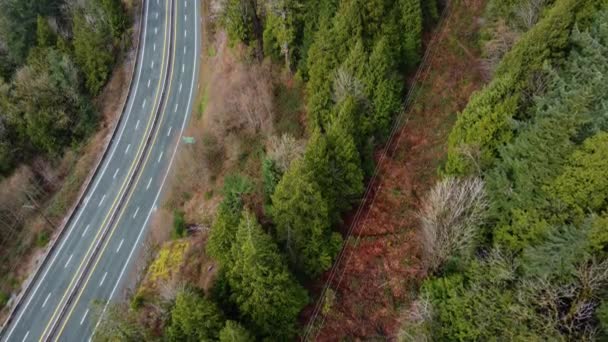 Widok Góry Dół Białym Samochodzie Autostradzie Zielonymi Drzewami Bokach — Wideo stockowe