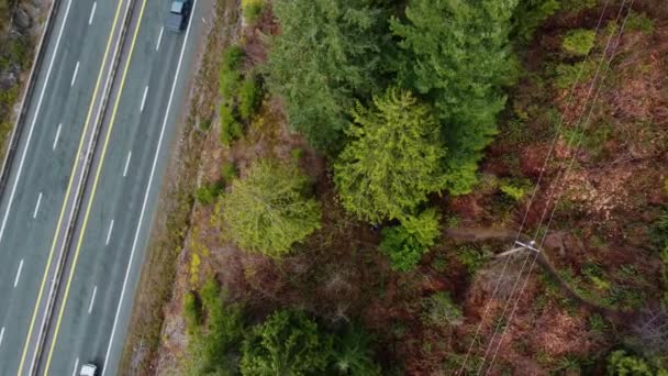 Blick Von Oben Auf Den Kanadischen Highway Nahe Grünem Fichtenwald — Stockvideo