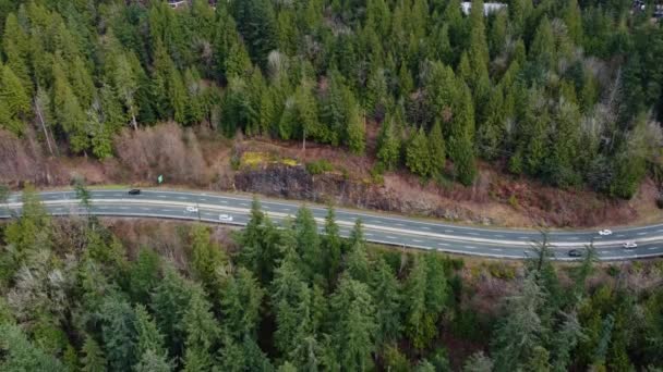 Luftaufnahme Der Förmigen Kanadischen Autobahn Umgeben Von Grünem Fichtenwald — Stockvideo