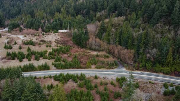 Luftaufnahme Eines Kurvenreichen Highways Kanada Mit Fichtenwald Den Seiten — Stockvideo