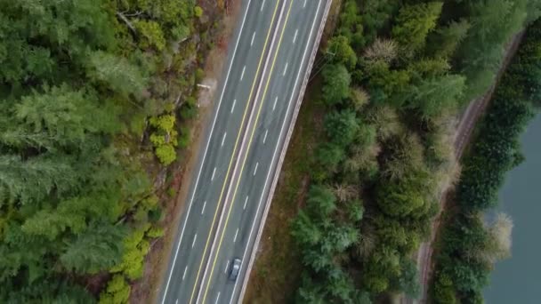 両側に緑のトウヒの木とカナダの高速道路のトップダウンビュー — ストック動画