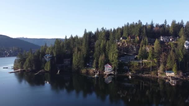 周囲に松の木と穏やかな海と岩の海岸の家の空中ビュー — ストック動画
