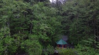 Bulutlu bir sabahta gölden ağaçların tepesine uçuyorum.