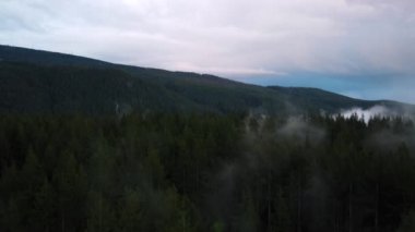 Alçak bulutlar ve çevreleyen yeşil tepelerle kaplı ağaçların hava manzarası.