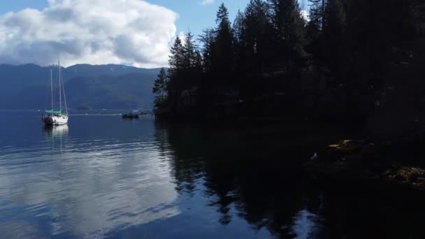 Fly Mirror Waters Bay Forest Coming Shore Lonely Yacht — Stock Video