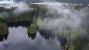 Bulutları yansıtan göl manzarası ve sabah sisinde yeşil ladin ormanı.