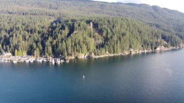 Dağın altında yeşil çam ağaçlarıyla kaplı kıyı manzarası.