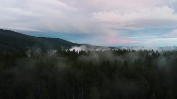 带着低云飞越森林 群山环绕 城市在地平线上 在早晨 — 图库视频影像