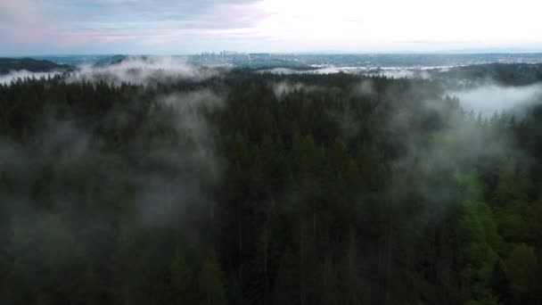 Letět Přes Les Ranní Mlze Městem Dál Obzoru — Stock video