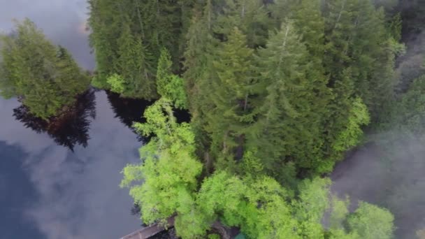 Vista Cima Para Baixo Floresta Árvores Abeto Lago Com Reflexos — Vídeo de Stock