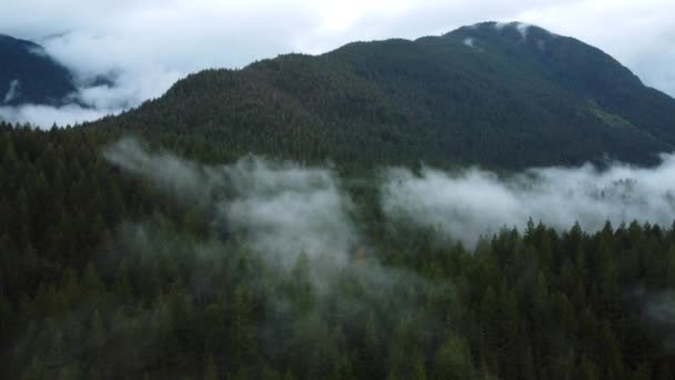 Widok Lotu Ptaka Góry Pokrytej Lasem Poranną Mgłą Nad Świerkami — Wideo stockowe