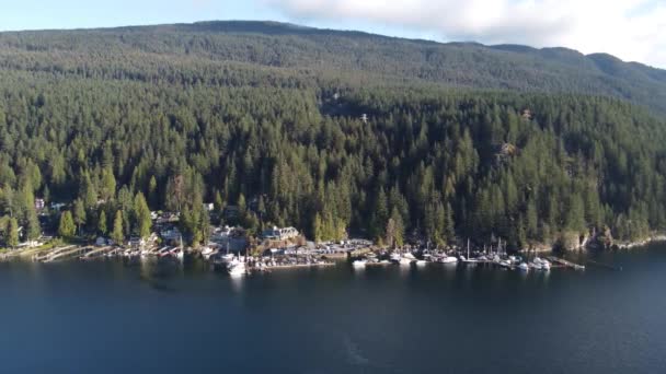 Aerial View Private Marina Houses Own Piers Bottom Mountain — Stock Video