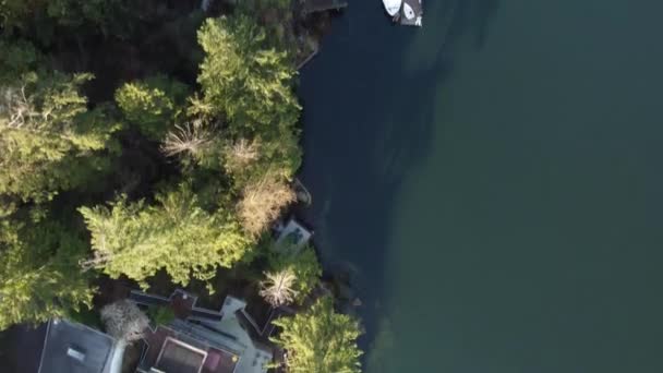 緑の松の木に囲まれたカナダの海岸沿いの家のトップダウンビュー — ストック動画