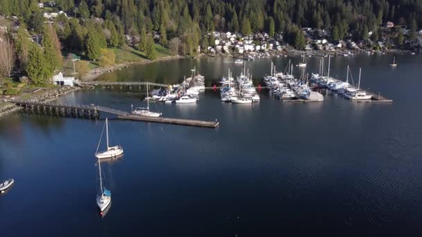 Flyg Över Marinan Och Förtöjda Båtar Kanadensiska Viken Solig Morgon — Stockvideo