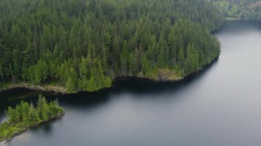 Top down of the green spruce forest and a calm lake in British Columbia