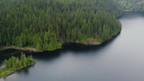 Top Van Groene Sparren Bos Een Rustig Meer British Columbia — Stockvideo