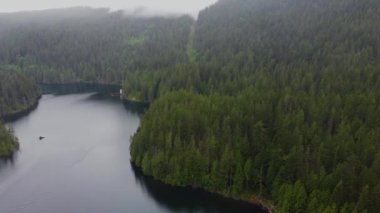 Fly over greem spruce forest on an overcast day in Canada