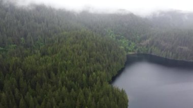 Aerial view of the green forest hills covered with the fog and the lake among it