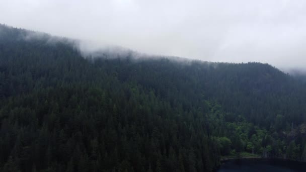 Leć Nad Wzgórzem Pokrytym Zielonymi Sosnami Niskimi Chmurami Kanadzie — Wideo stockowe
