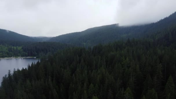 Flying Green Spruce Forest Lake Low Clouds Rainy Day Canada — Αρχείο Βίντεο