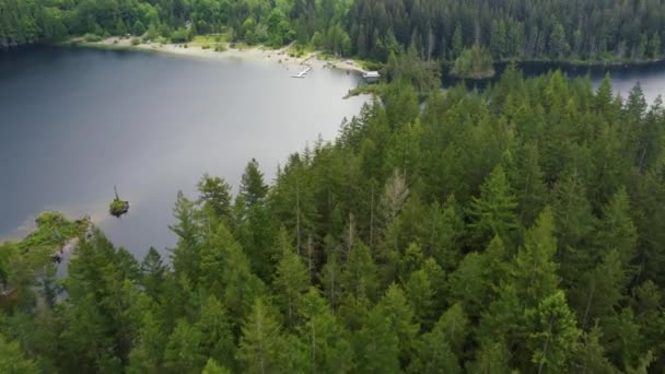 Aerial View Green Pine Forest Lake Beach Overcast Day — Stock Video