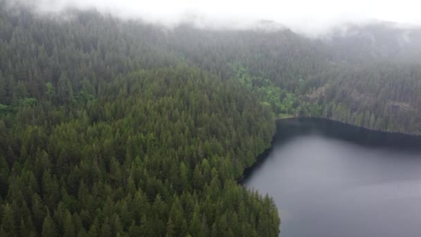 Uitzicht Vanuit Lucht Groene Bosheuvels Bedekt Met Mist Het Meer — Stockvideo