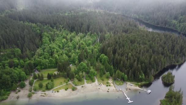 Aerial View Beach Lake Surrounded Green Spruce Forest Morning — Αρχείο Βίντεο