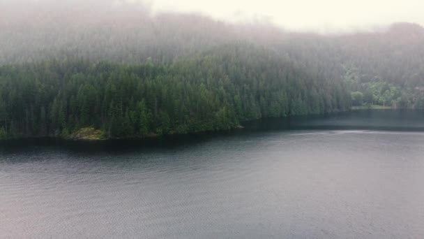Luftaufnahme Eines Ruhigen Sees Umgeben Von Grünen Hügeln Mit Kiefern — Stockvideo