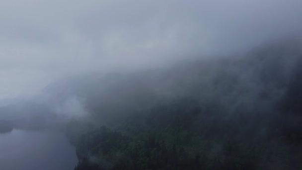 Fly Clouds Rainbow Foggy Green Forest — Αρχείο Βίντεο