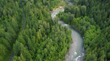 Kanada 'nın yeşil ormanı arasında kıvrımlı nehir ve demiryolu manzarası