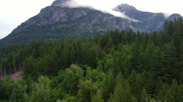 Apertura Colpo Montagna Rocciosa Con Bassa Nuvola Dietro Foresta Verde — Video Stock