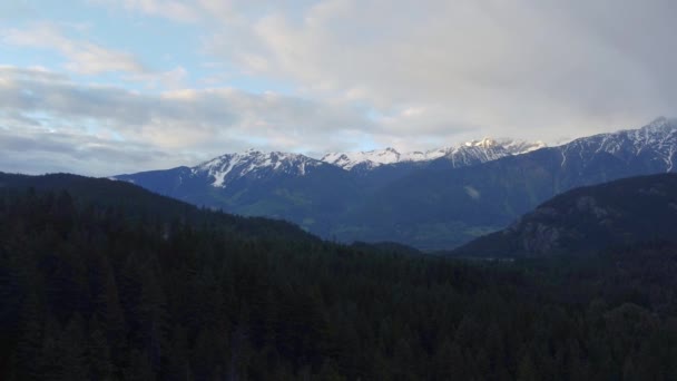 Χιονισμένες Βουνοκορφές Και Πετούν Πάνω Από Πράσινο Πευκοδάσος Στον Καναδά — Αρχείο Βίντεο